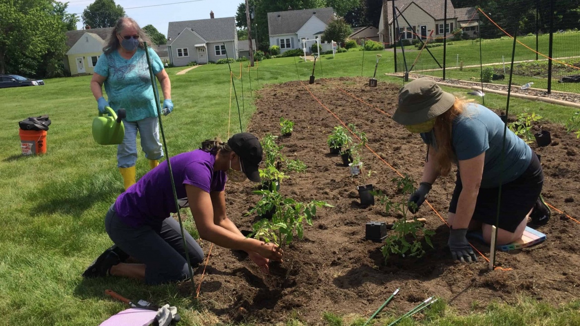 New Life Presbyterian Church garden partnership - planting the produce