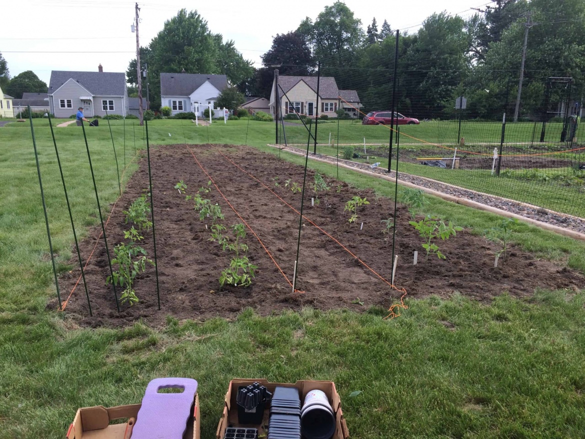 New Life Presbyterian Church garden partnership - garden in progress