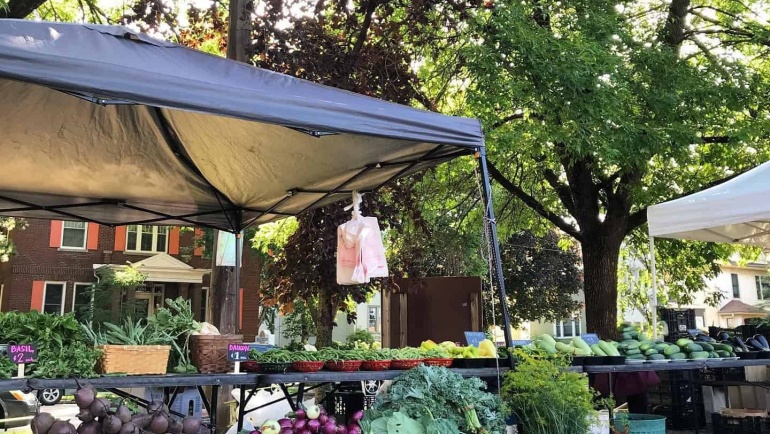 A perfect pear: Northeast Farmers Market partnership with Every Meal